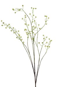 Berry Tak Zijde - 135cm Groen