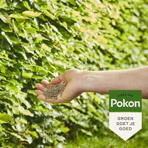 Pokon Beuken&Hagenmest 2.5kg - afbeelding 4