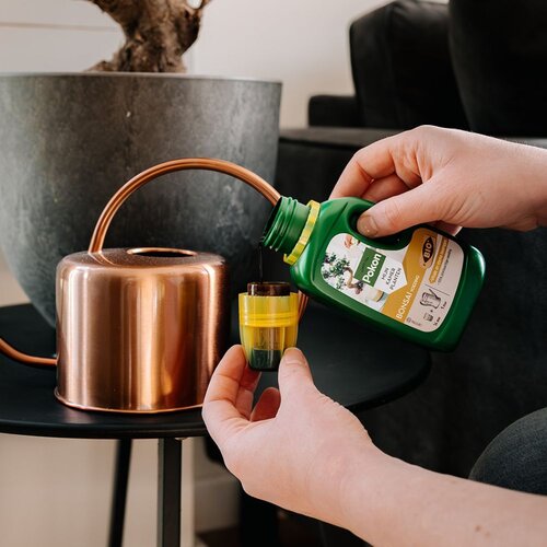 Bio Bonsai Voeding 250ml - afbeelding 3