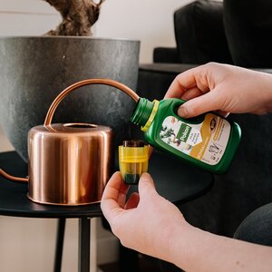 Bio Bonsai Voeding 250ml - afbeelding 3