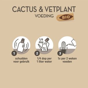 Bio Cactus&Vetplant 250ml - afbeelding 4