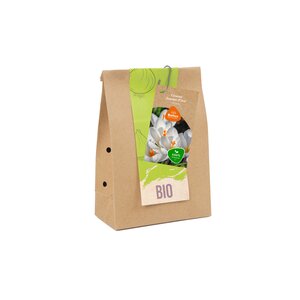 BIO - Crocus Jeanne d'Arc per 10 - afbeelding 1