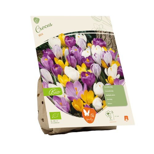 BIO - Crocus Mix per 15 - afbeelding 2