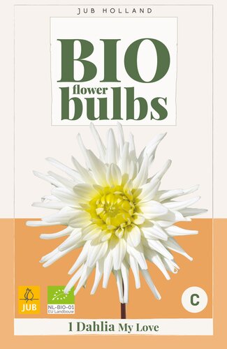 Bio dahlia my love 1st