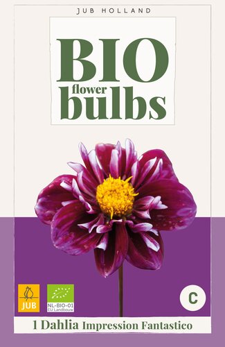Bio dahliampression fantastico 1st