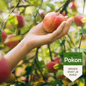 Pokon Bio Fruitbomenmest 1kg - afbeelding 4