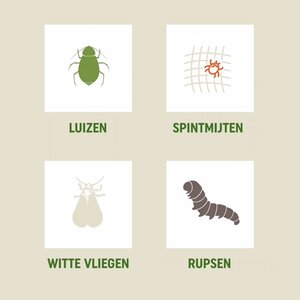 Bio Hardn Insect Conc 175ml - afbeelding 7