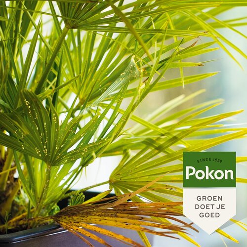 Pokon Bio Hardn Insect Conc 175ml - afbeelding 4