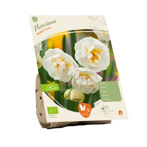 BIO - Narcissus Bridal Crown per 7 - afbeelding 2