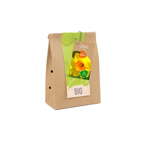BIO - Narcissus Martinette per 7 - afbeelding 1