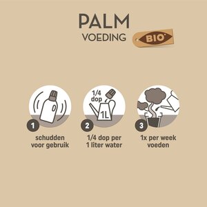 Pokon Bio Palm Voeding 250ml - afbeelding 3