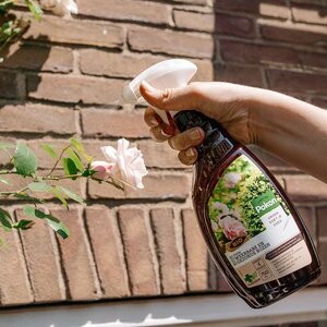 Bio Schimmel PlantSpr 750 - afbeelding 3