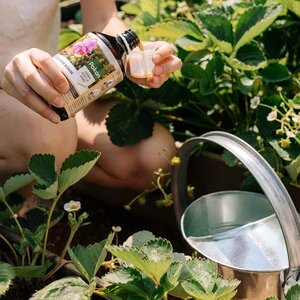 BioPlantkrAaltjesConc500ml - afbeelding 3