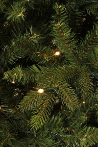 Black Box Kunstkerstboom Macallan groen - incl 504 lampjes - H 260 x D 150 cm - afbeelding 3