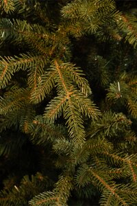 Black Box Kunstkerstboom Meran groen - H 155 x D 102 cm - afbeelding 3