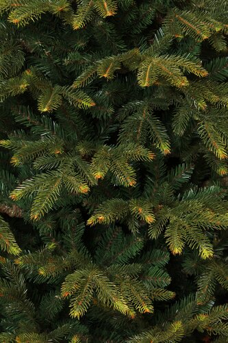 Blackbox Frasier kunstkerstboom groen - H 230 x D147 cm - afbeelding 2