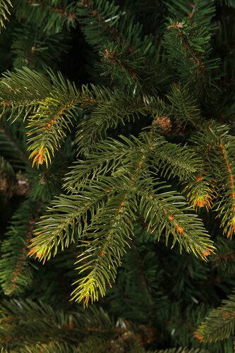 Blackbox Frasier kunstkerstboom groen - H 230 x D147 cm - afbeelding 3