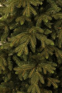 Blackbox Macallan kunstkerstboom groen - H 120 x D 96 cm - afbeelding 2