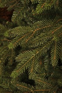 Blackbox Macallan kunstkerstboom groen - H 120 x D 96 cm - afbeelding 3