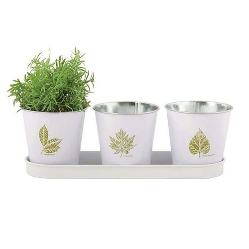 Bladprint set 3 potjes op tray