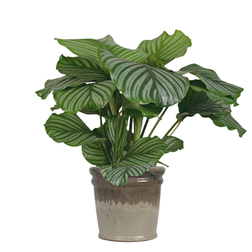 Bloempot black/cream - D 35 x H 32 cm - afbeelding 3
