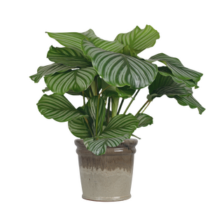 Bloempot black/cream - D 35 x H 32 cm - afbeelding 3