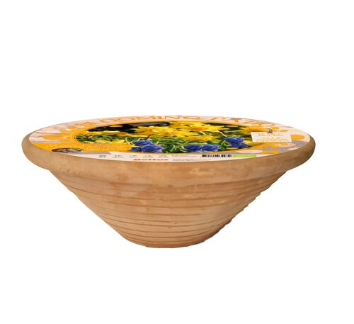 Blooming Patio - Flower Pot - Bio Bulbs