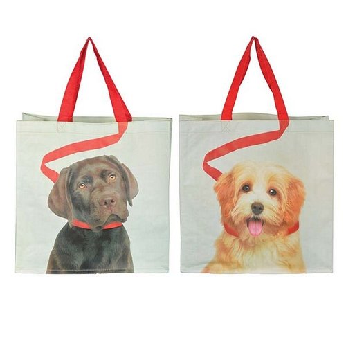 Boodschappentas hond aan riem ass.