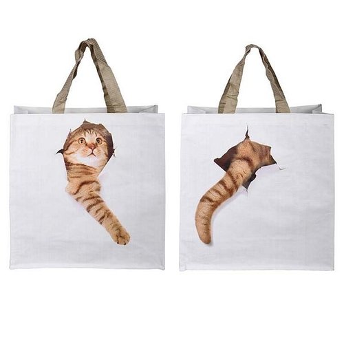 Boodschappentas kat