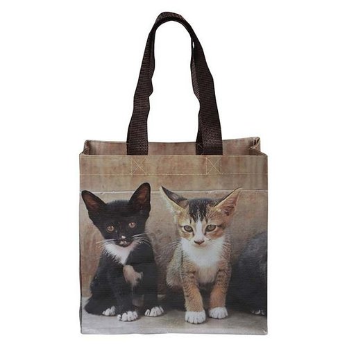 Boodschappentas kittens S