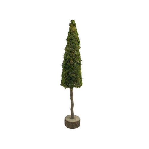 Boom op stam mos D 11 x H 60 cm