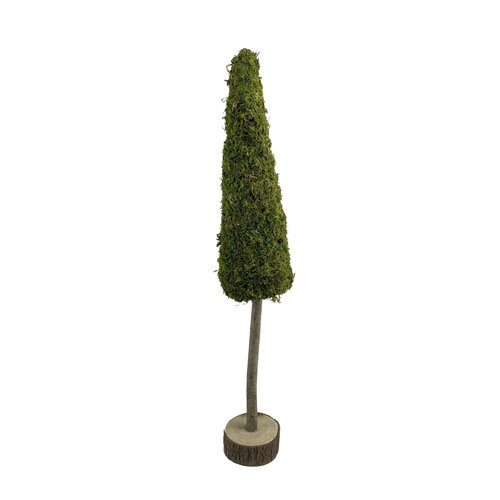 Boom op stam mos D 12 x H 70 cm