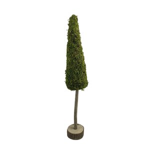 Boom op stam mos D 12 x H 70 cm