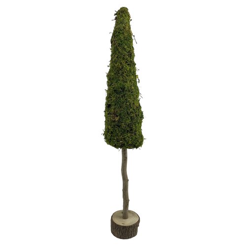 Boom op stam mos D 13 x H 80 cm