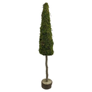 Boom op stam mos D 13 x H 80 cm