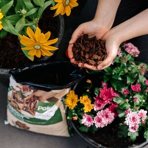 Boomsch Excellent 40L - afbeelding 4