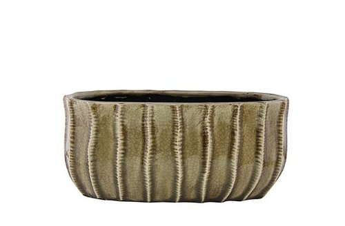Boot Manon taupe D29x14 H13
