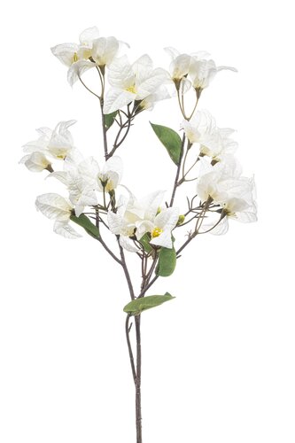 Bougainvillea spray cream 68cm