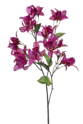Bougainvillea Tak Zijde - 68cm Fuchsia