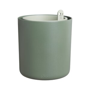 bouncy basil blad groen - afbeelding 4