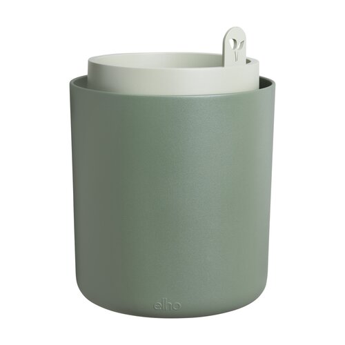 bouncy basil blad groen