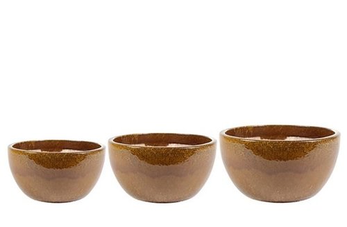 Bowl S3 Rico honey D42 H22