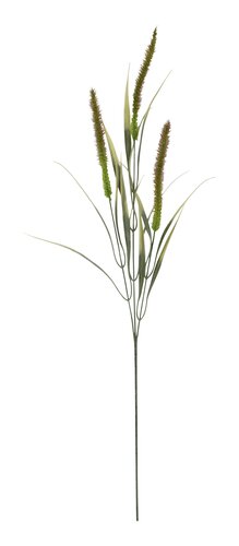 Bristlegrass H 84 cm groen