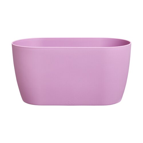 brussels orchidee duo 25cm levendig violet 13,4x24,8x12cm