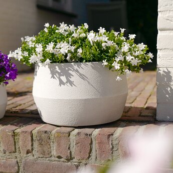 Buitenpotterie