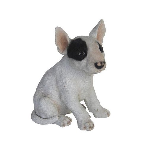 Bull terrier pup zittend