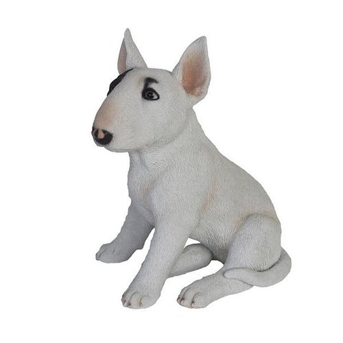 Bull terrier zittend
