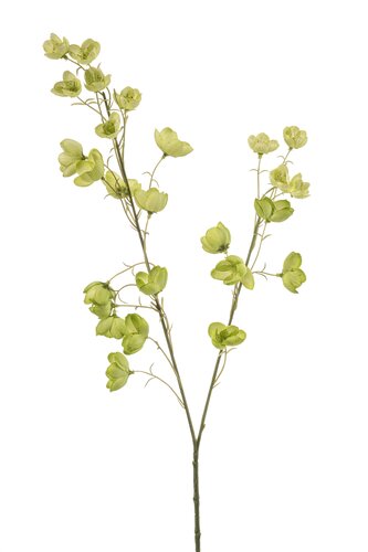Buttercup Tak Zijde - 85cm Groen