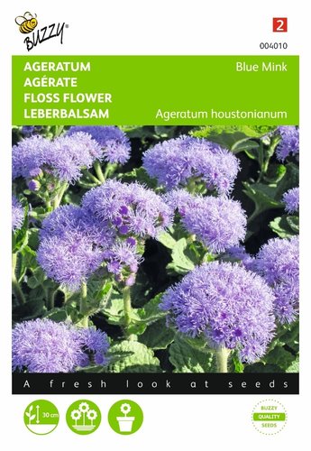 Buzzy® Ageratum, Leverbalsem Blue Mink - afbeelding 1