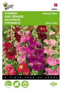 Buzzy® Althaea (Alcea), Stokroos Antwerp Stars mix - afbeelding 1